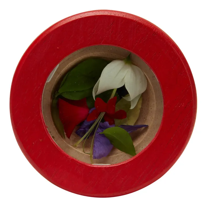 Plan Toys Mon premier Kaléidoscope