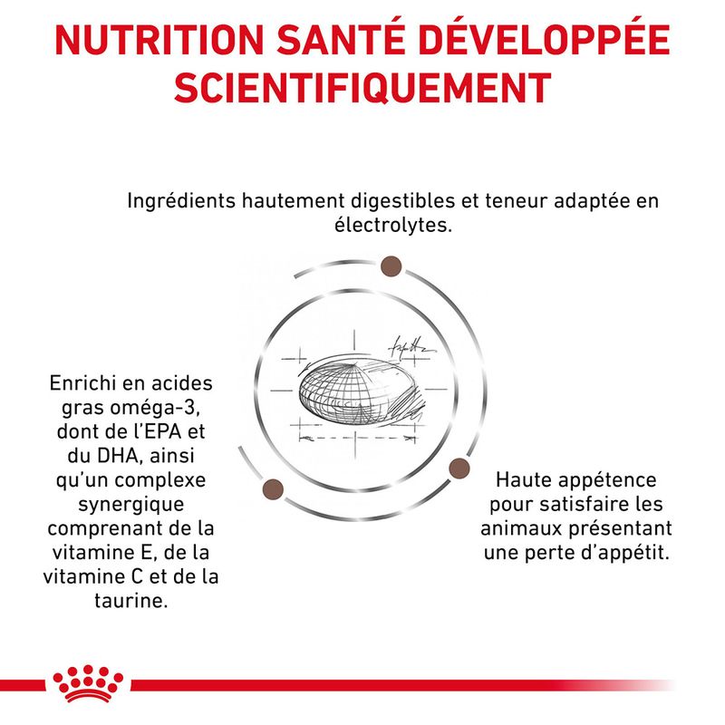 Royal Canin Veterinary Canine Gastrointestinal à Prix Discount | bitiba.fr