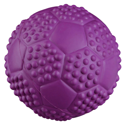 Trixie Sportball mit Quietscher