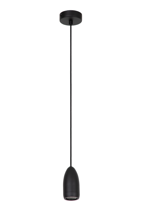Lucide Evora 1 hanglamp zwart