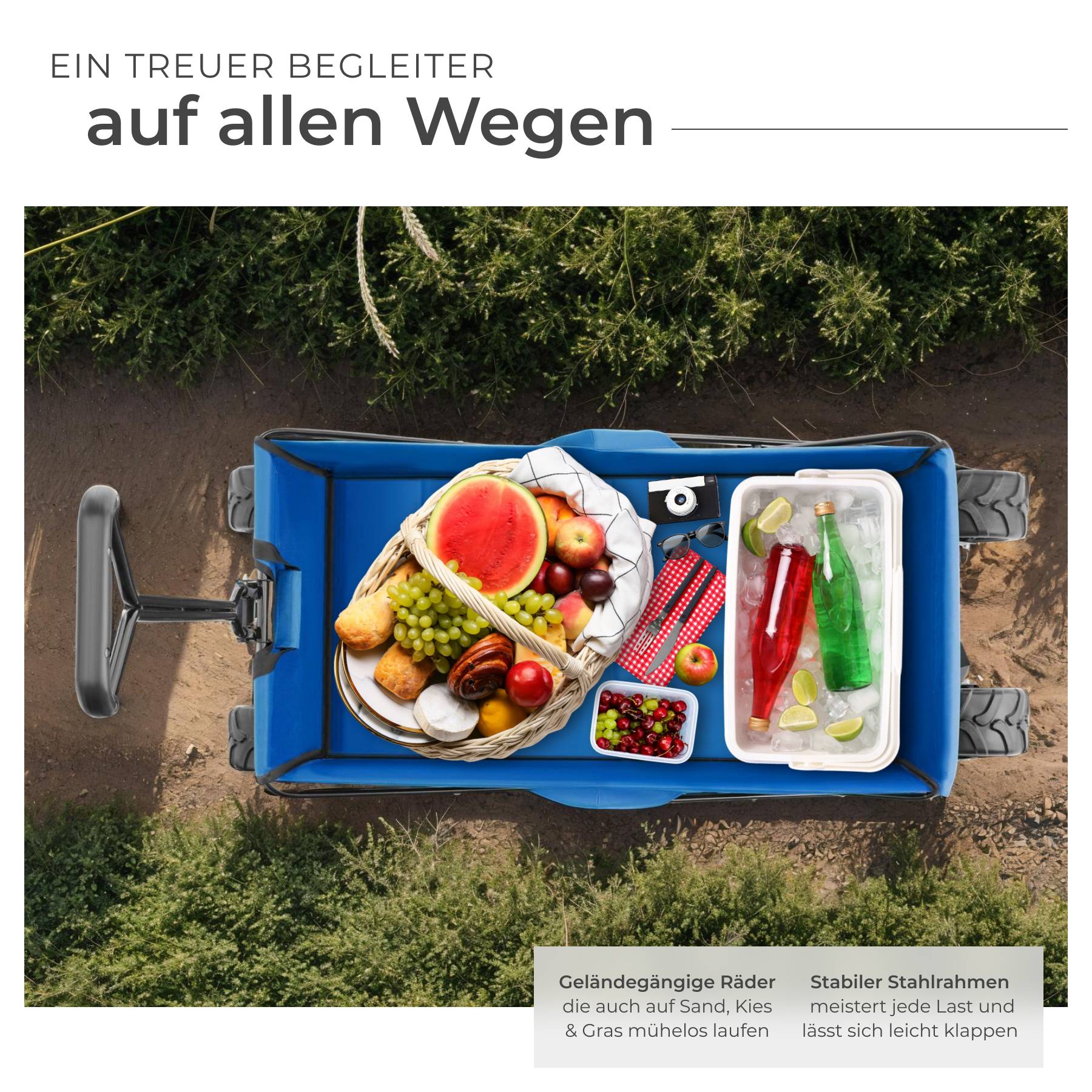 Bollerwagen Heidrun