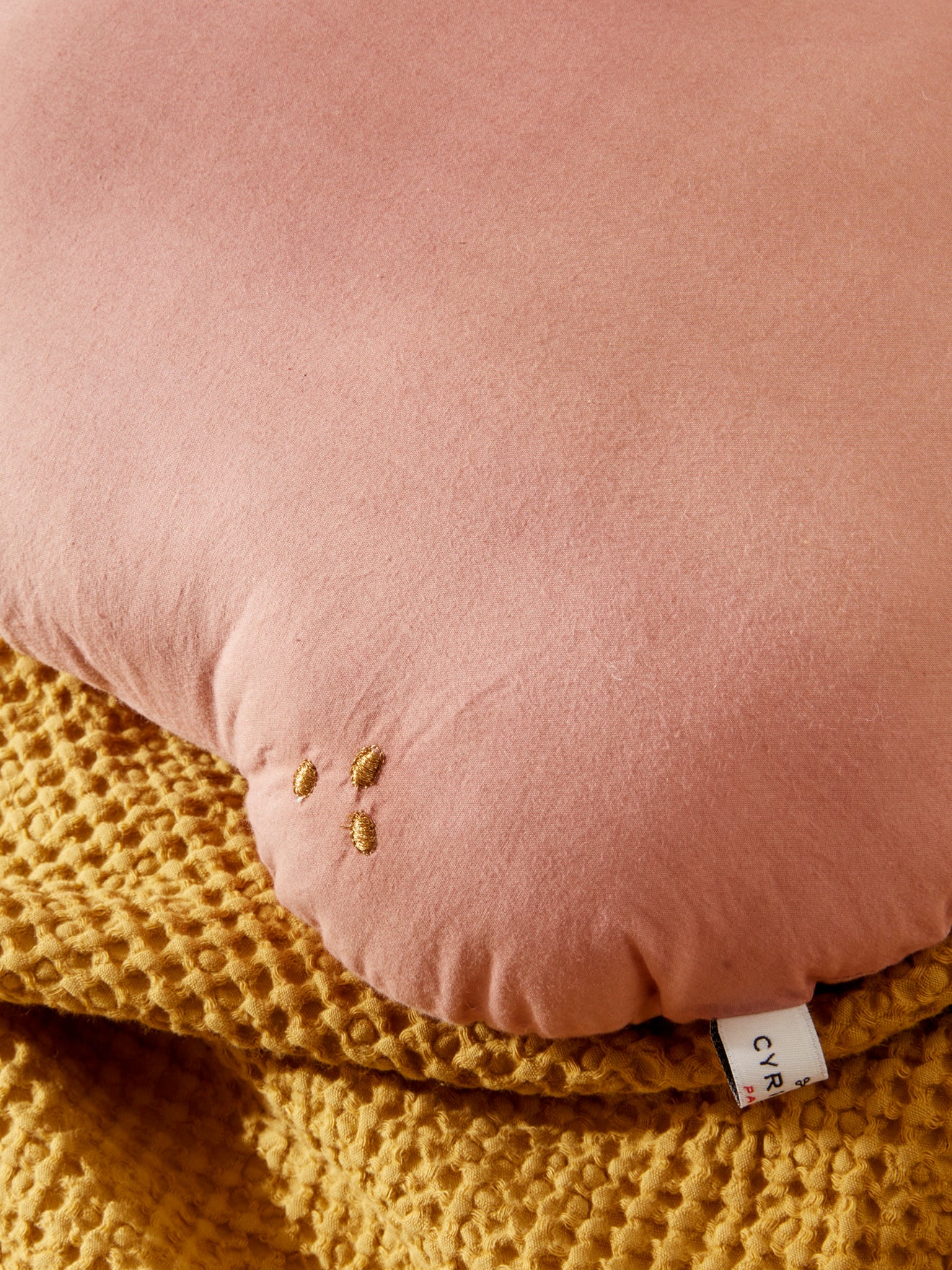 Coussin fruit en coton