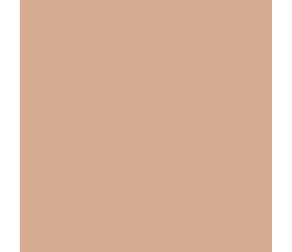 DIOR Diorskin Forever Skin Correct2N