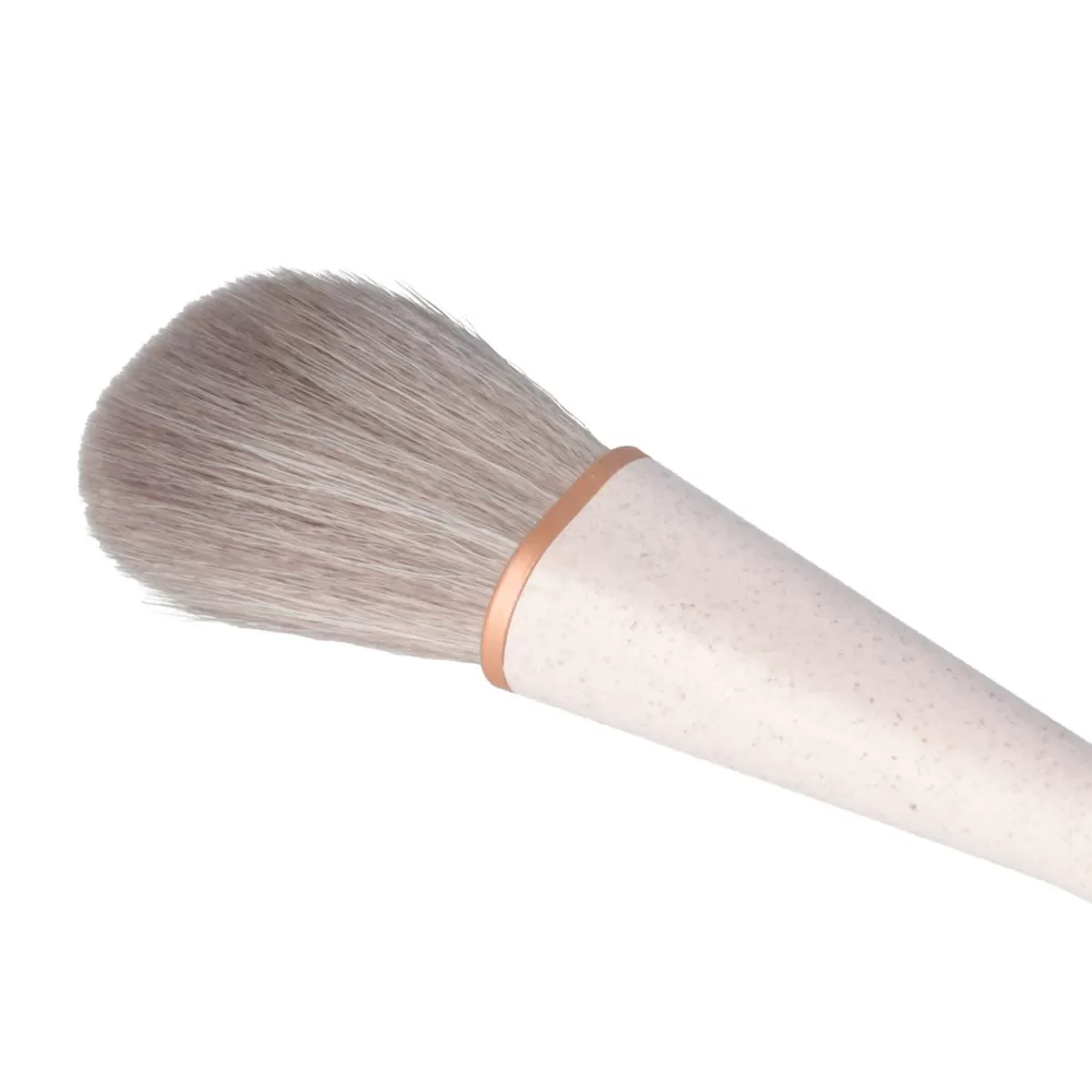 Parsa Beauty Blush Brush