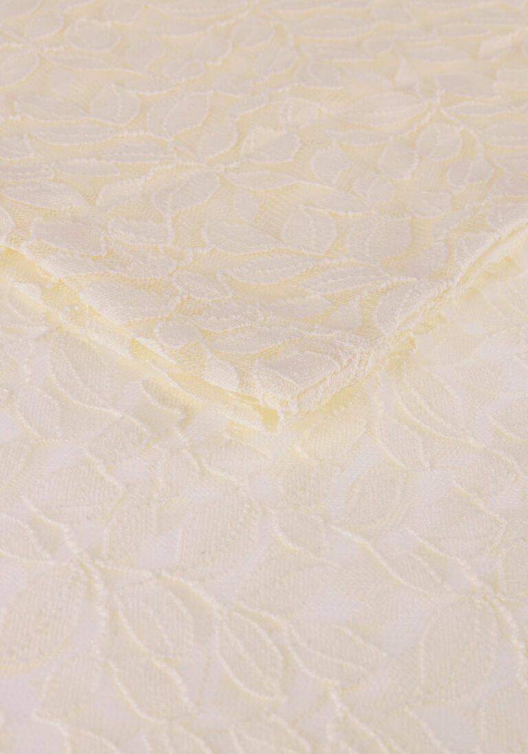 ALIX THE LABEL creme alix the label  fitted lace top