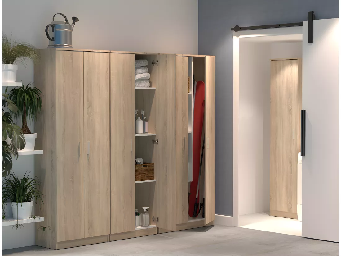 Armoire / meuble de rangement coloris Cambrian - Hauteur 180 x Longueur 60 x Profondeur 35 cm