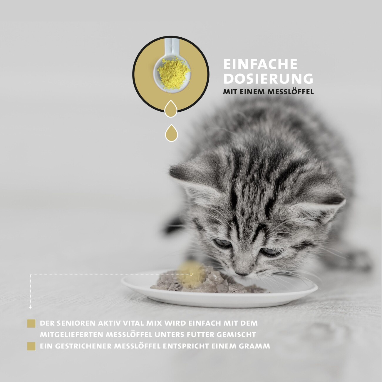 Peticare Senior Pulver für Katzen, fördert Vitalität & Beweglichkeit im Alter