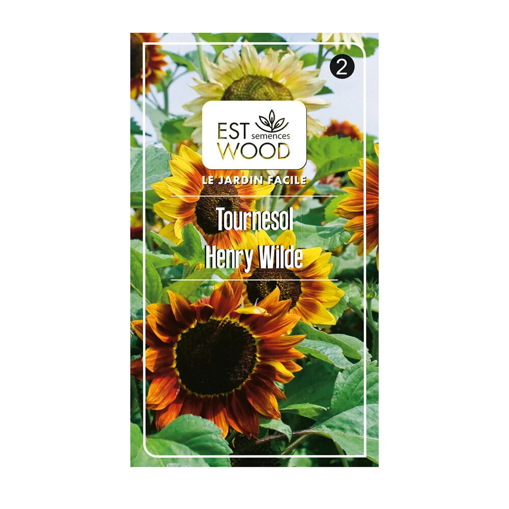 Semence tournesol jaune
