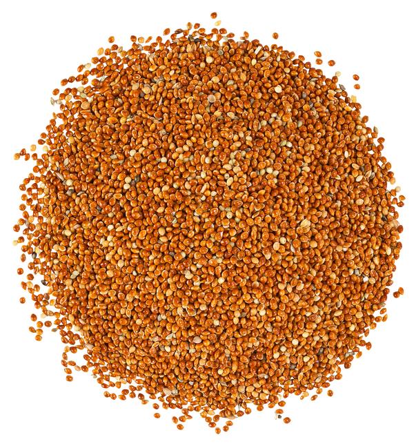 Dehner Lieblinge Rote Hirse, 1 kg