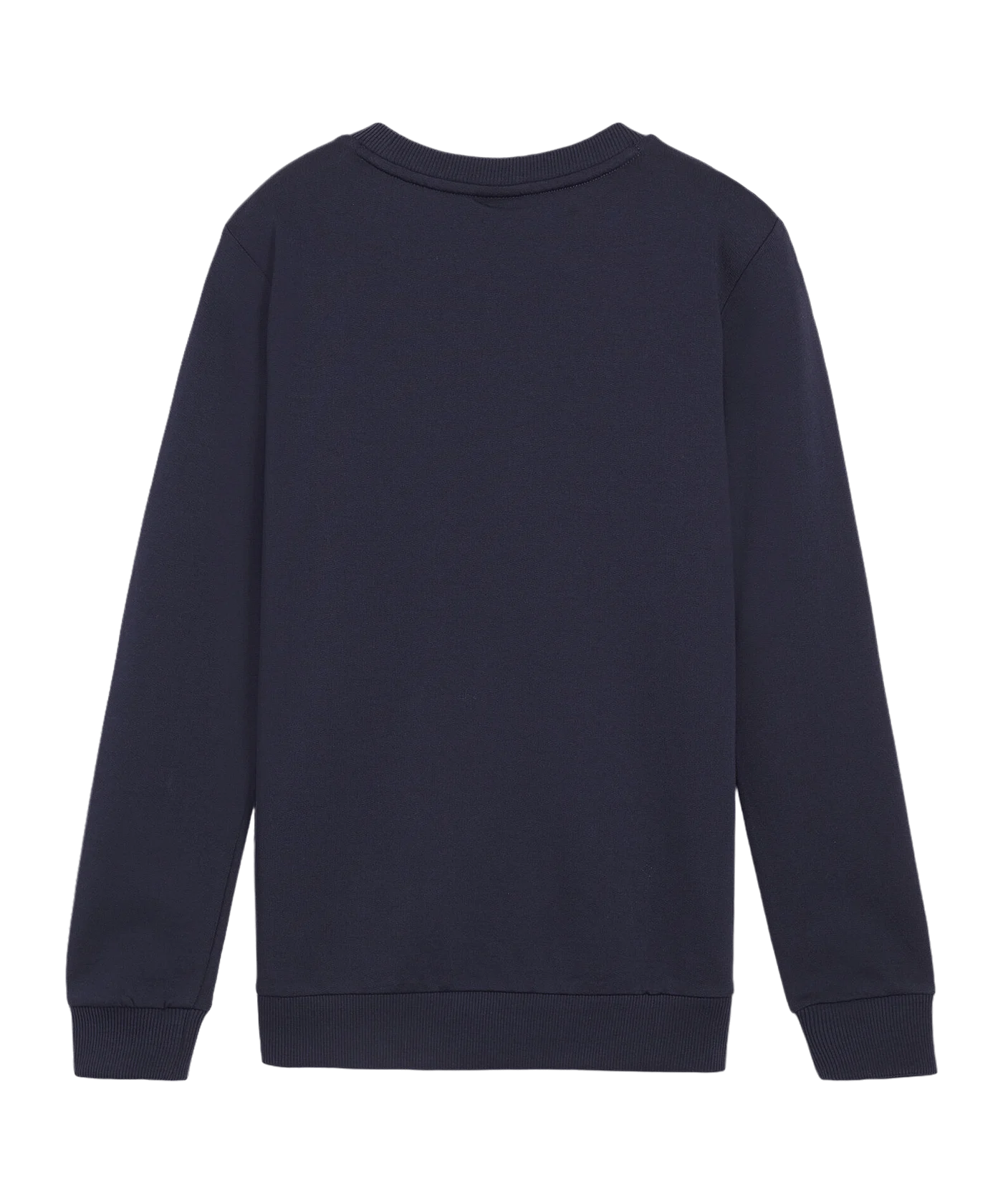 PUMA teamGOAL Casuals Sweatshirt Kids Blau F06