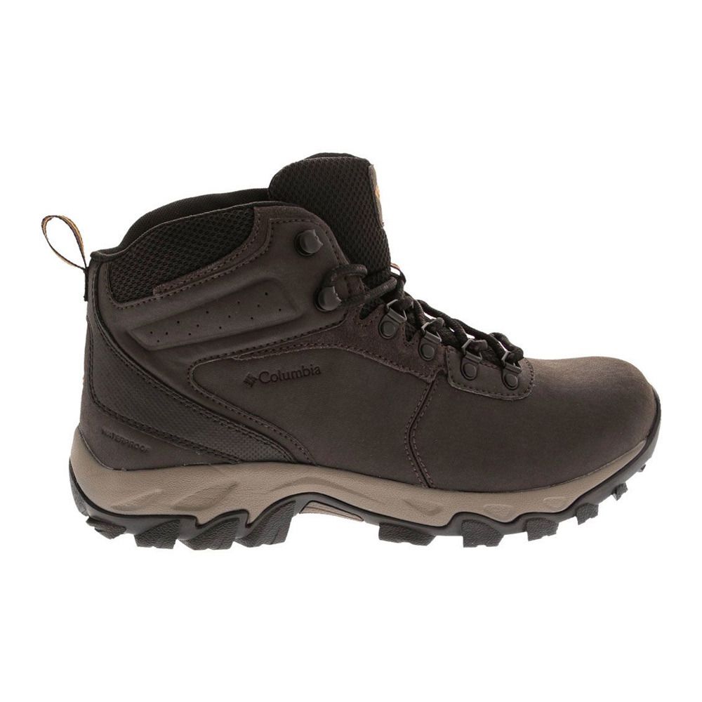 Columbia NEWTON RIDGE PLUS II WATERPROOF - Chaussures randonné Homme brown