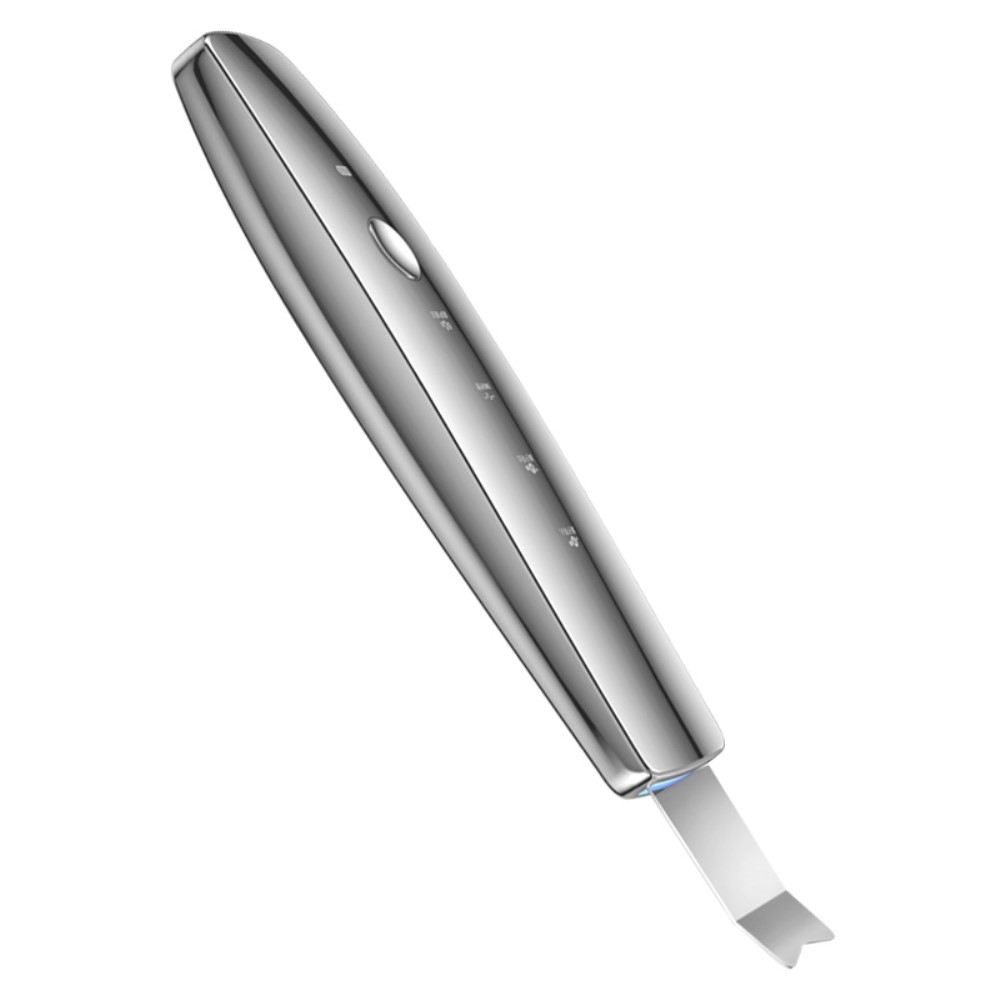 (5V) Edelstahl Ultraschall Peeling Hautreiniger Porenreiniger Haut Scrubber mit 4 Modis - Silber