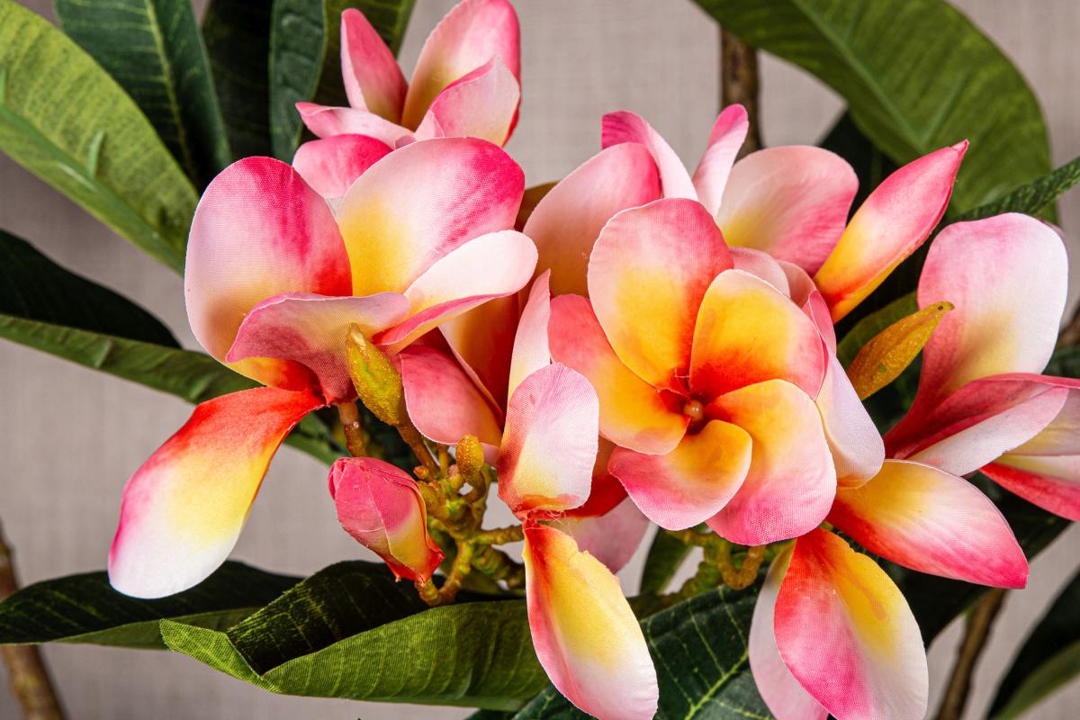 Ptmd branche artificielles plumeria - 72x25x110 cm - plastique - rose
