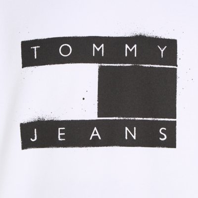 Sweatshirt à capuche homme Tjm Reg Flag Spray TOMMY HILFIGER