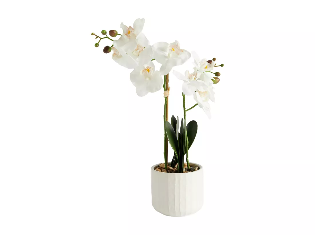 Composition Décorative Orchianis Blanc Moyen 56 x 47 x 14