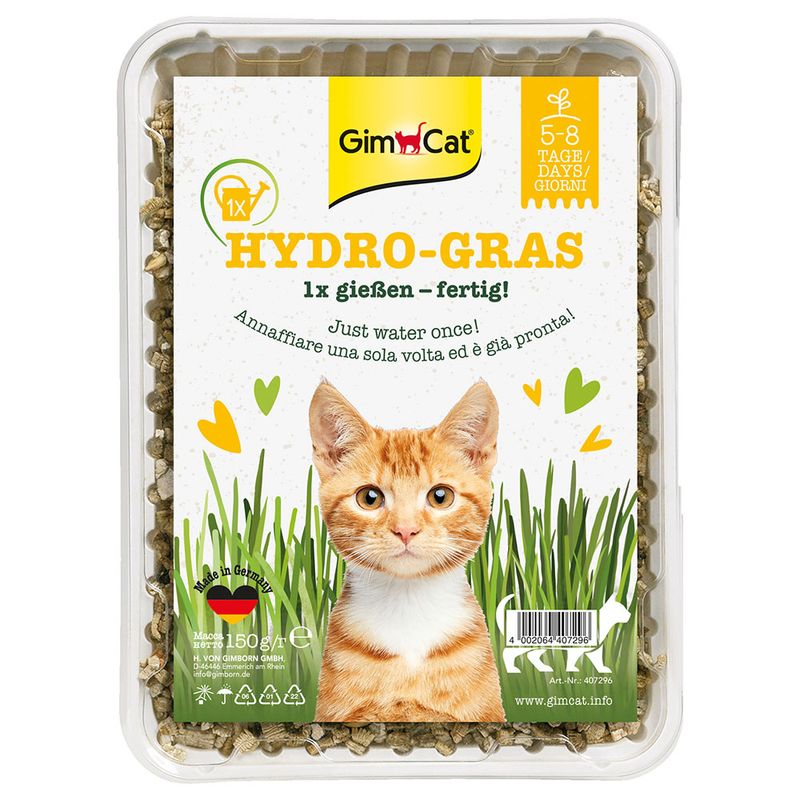 Herbe à chat GimCat Hydro-Gras à prix discount sur bitiba.fr