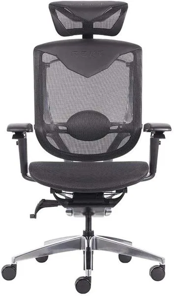 REKT RGo Max Business Noir Fauteuils gaming