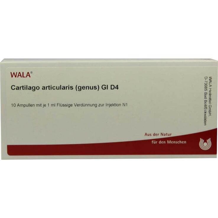 Cartilago articularis genus GL D 4 Ampullen, 10X1 ml