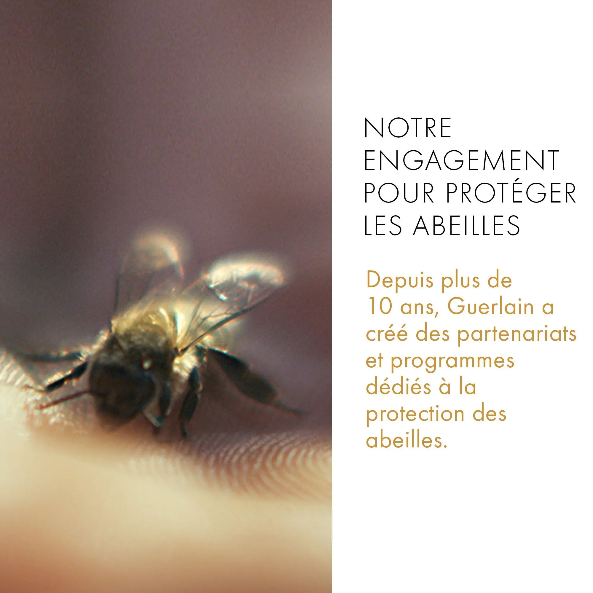 Guerlain - Abeille Royale Baume Réparateur Jeunesse Des Mains- Mains