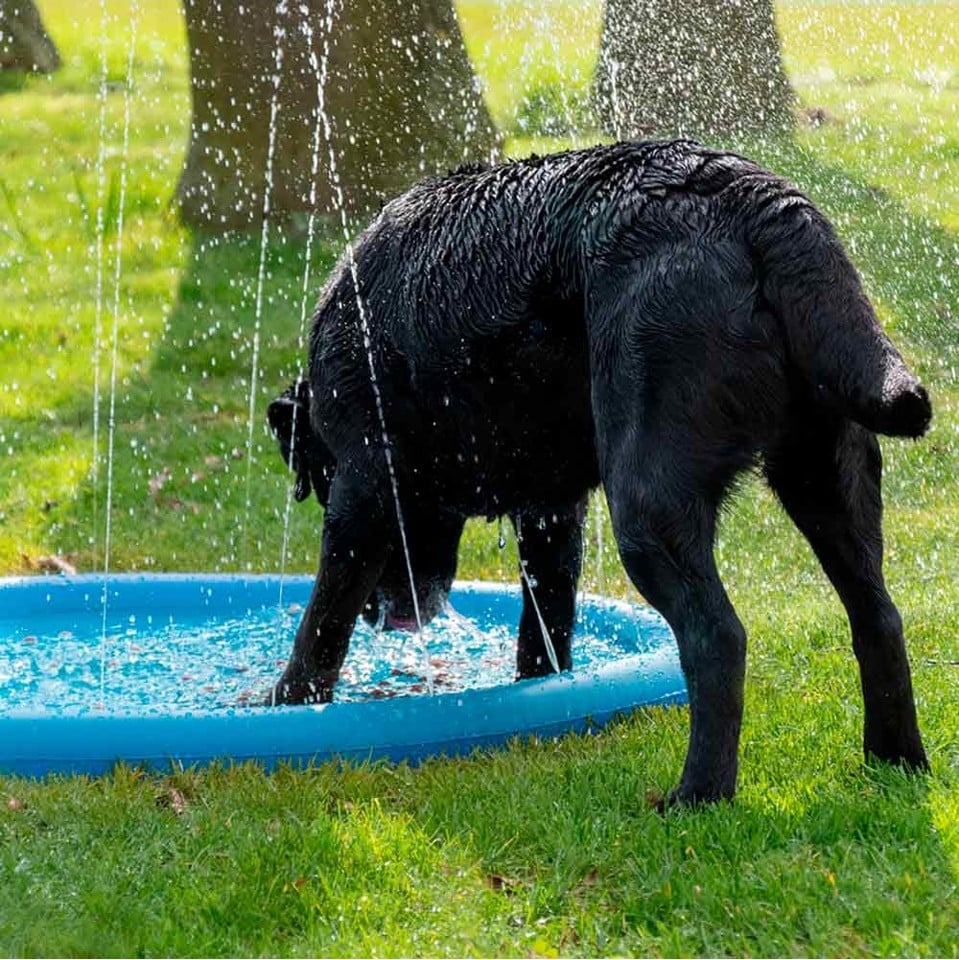 AC - Pet pad splash sprinkler 150 cm