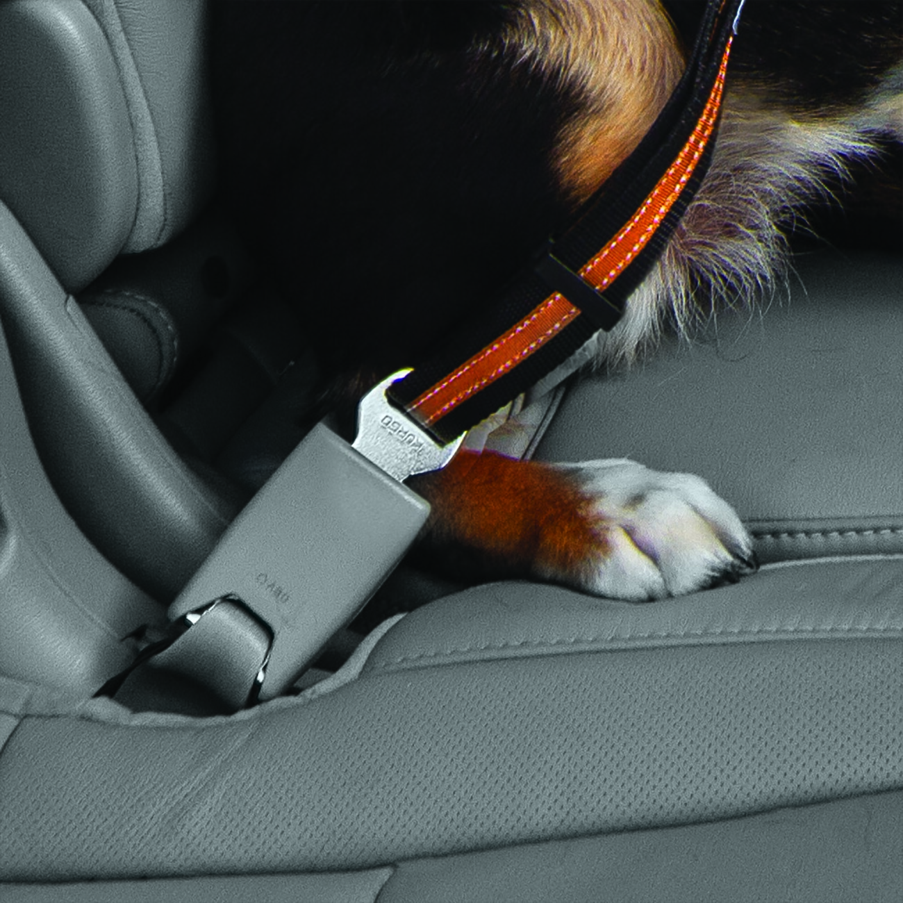 Kurgo Hundegurt fürs Auto