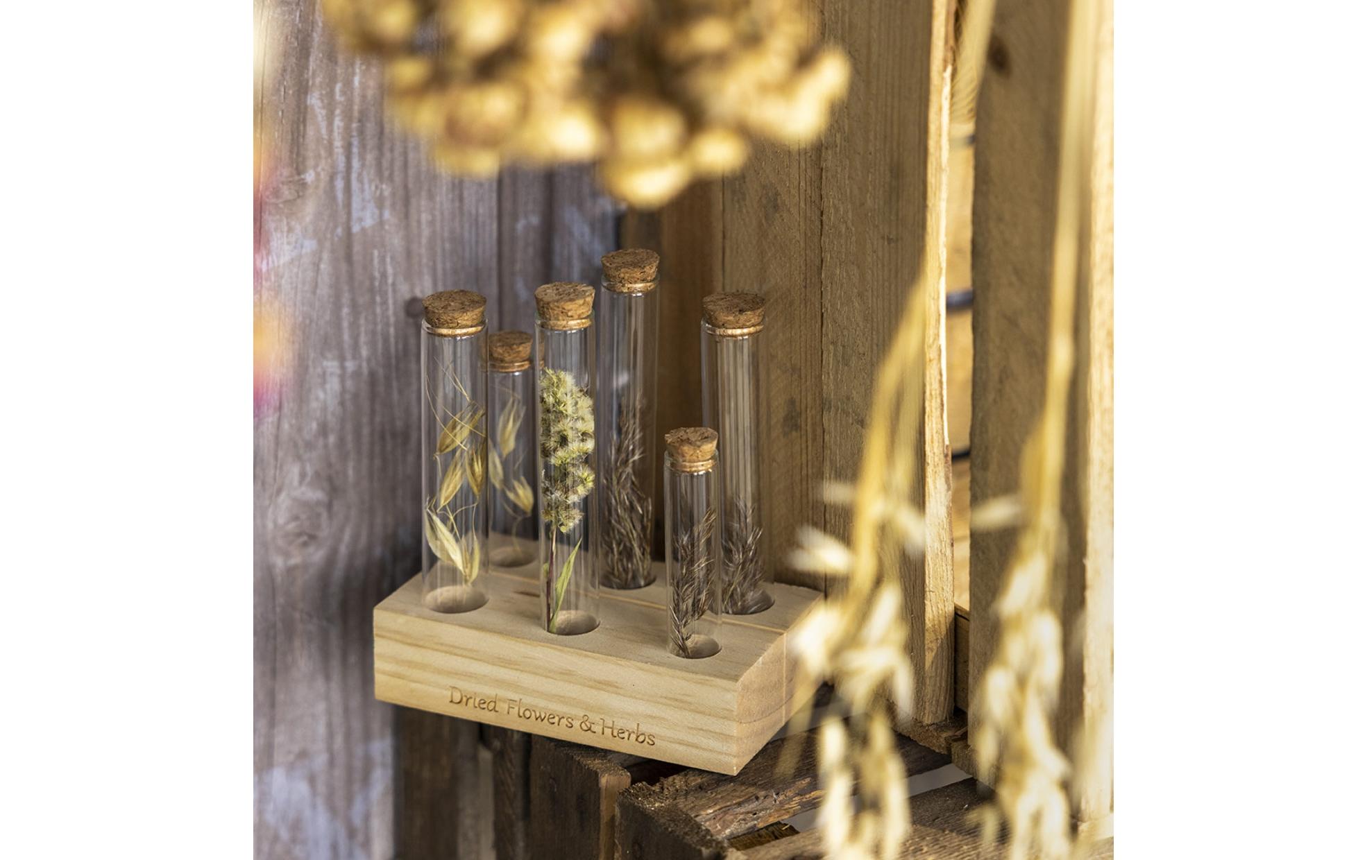 Vase Reagenzglas L 6 Gläser, 17.5 cm, Nature/TransparentReagenzgläser mit Holzsockel