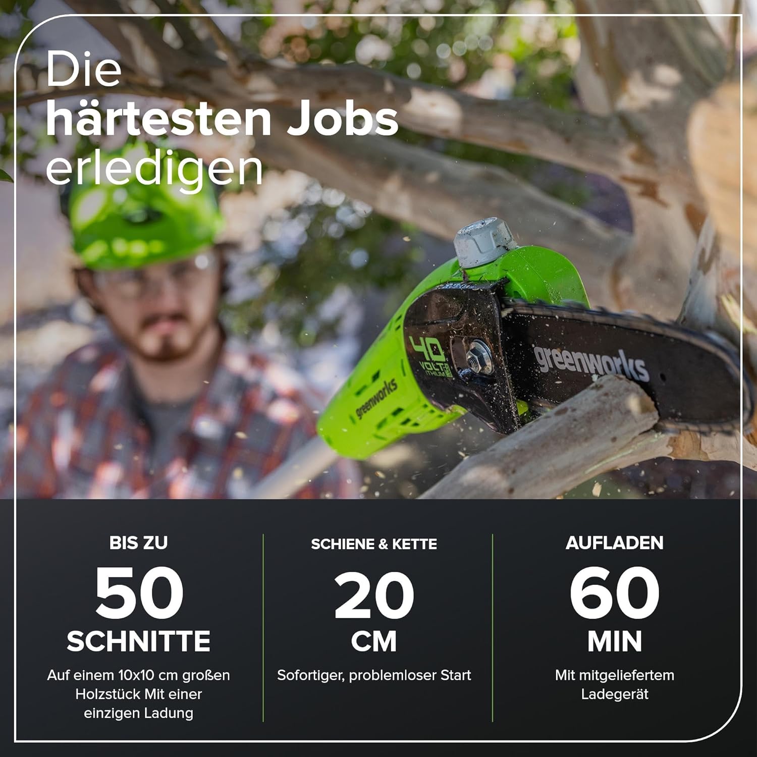 Greenworks G40PSFK2 Akku Hochentaster,20 cm Blattlänge, 8 m/s Kettengeschwindigkeit, 3,64 kg, automatisches Öl-System, 80 ml Öltank, 2.58m Stangenreichweite, 40V 2Ah Akku & Ladegerät, 3 Jahre Garantie
