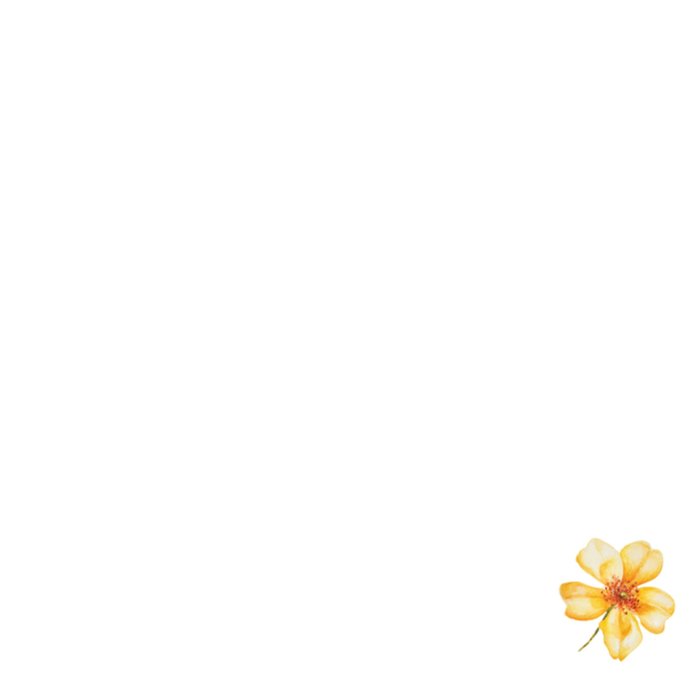 Zomaar kaart | Janneke Brinkman | Bloemen