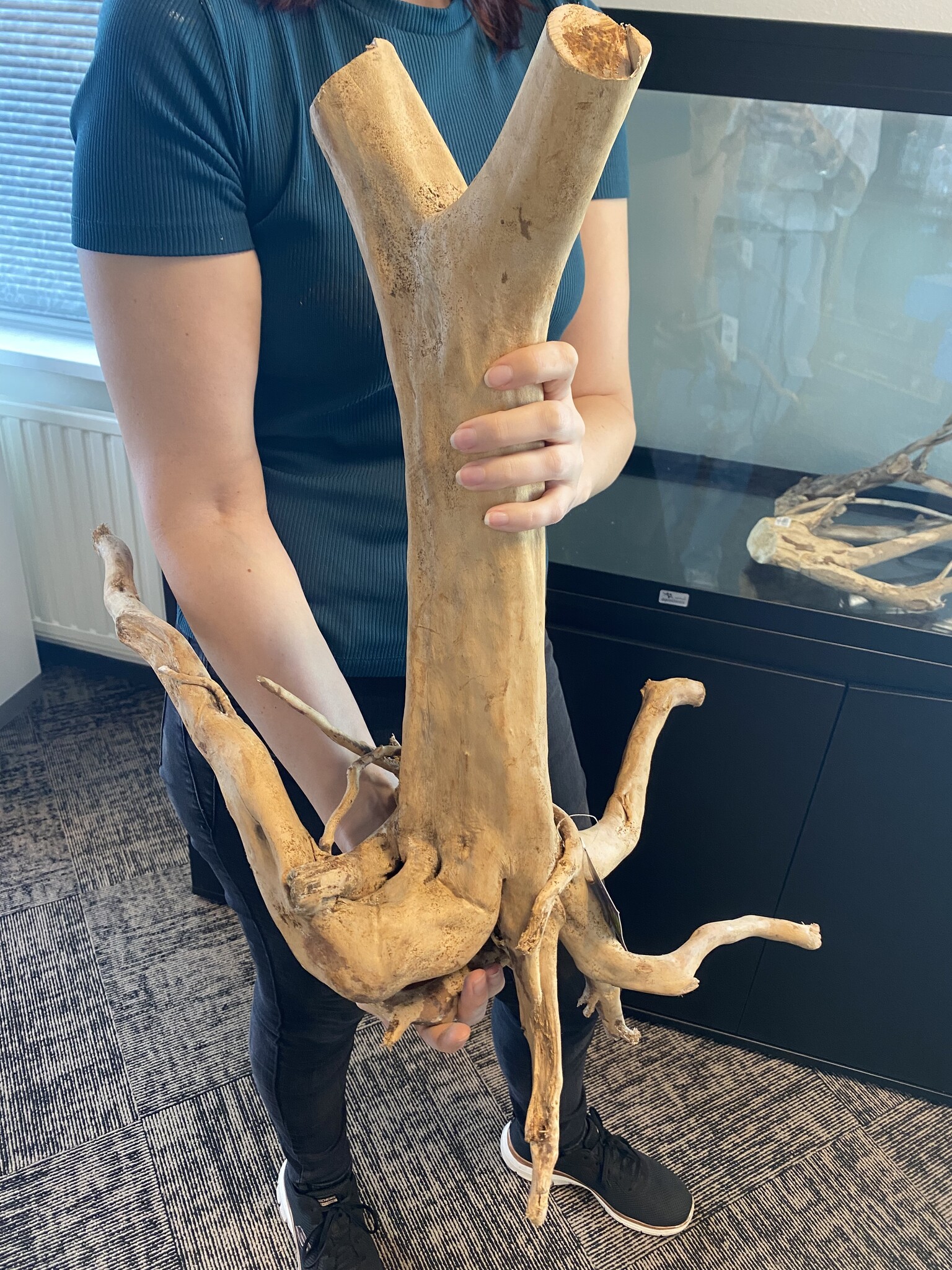 AQXL Selected Wood Stump 60x42
