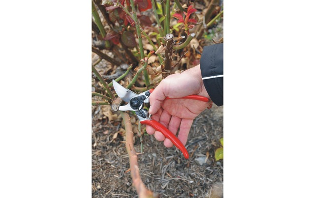 FELCO Gartenschere »11«