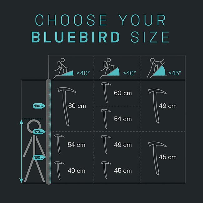 BLUE ICE - PIOLET BLUEBIRD