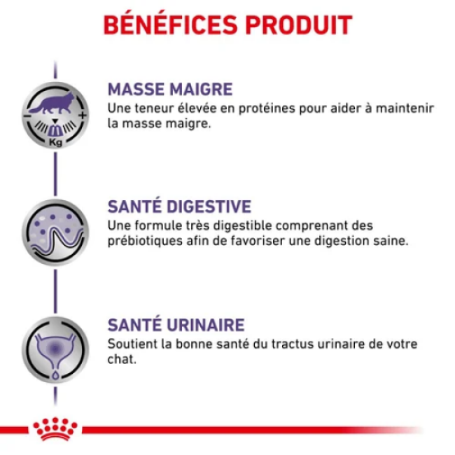 Bouchées en sauce pour chats Royal Canin Expert Neutered Maintenance