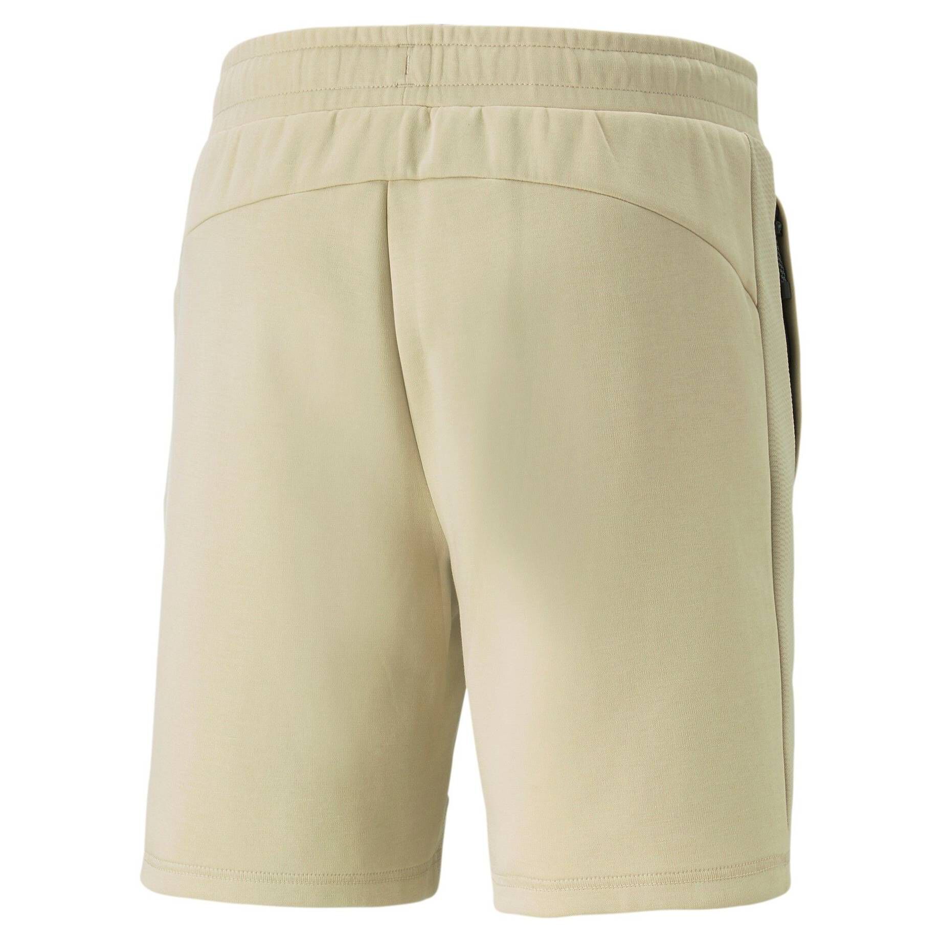 Puma| Herren Shorts EVOSTRIPE