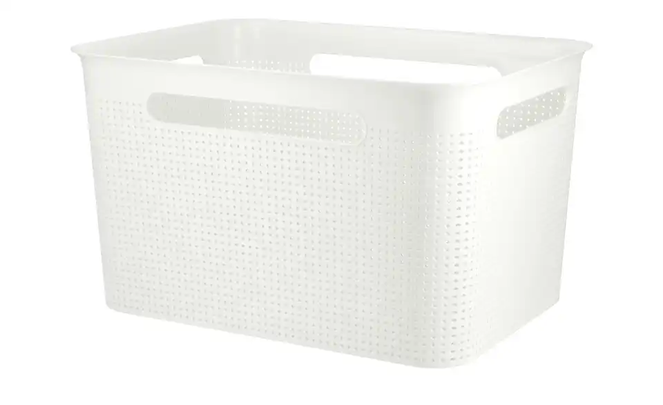 Rotho Aufbewahrungsbox 36 cm