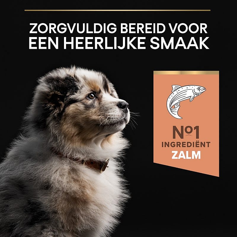 Purina Pro Plan Medium Puppy Sensitive Skin Hondenvoer Zalm 12 kg | 12817
