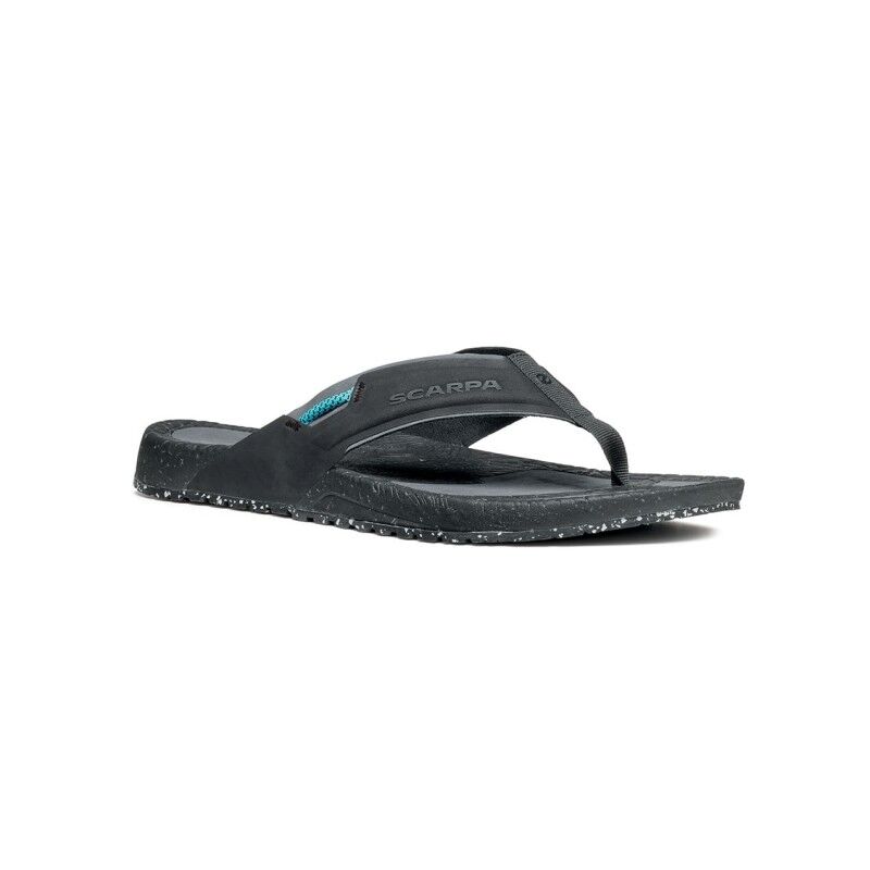 Tegu - Tongs