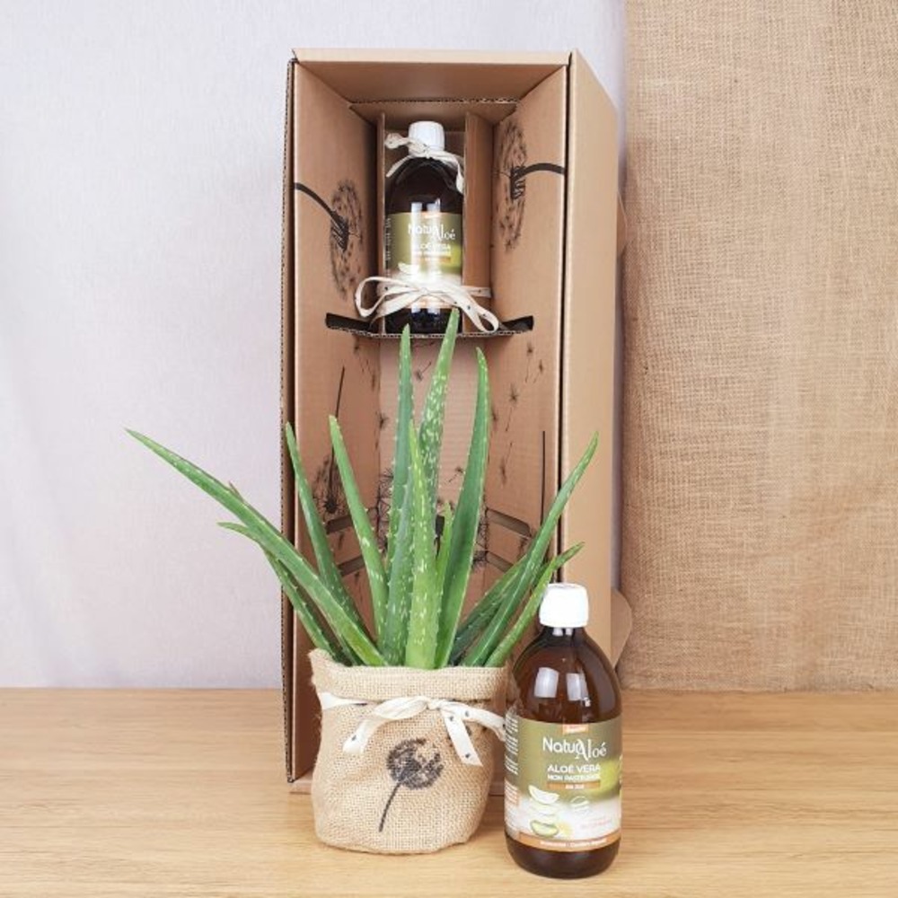 Coffret d'une plante d'aloé vera avec son jus d'aloé vera bio