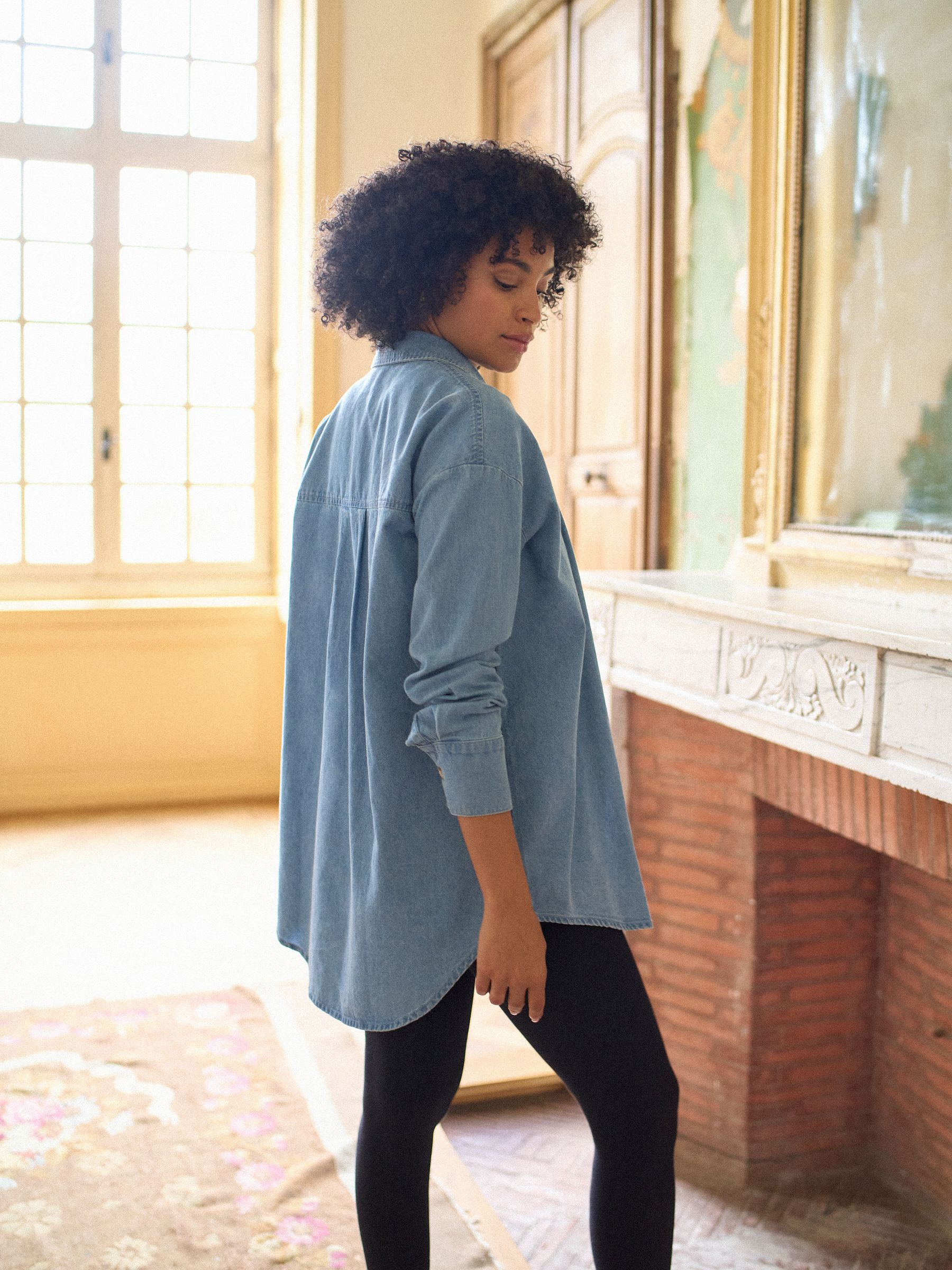 Seraphine Denim Maternity & Nursing Shirt Dress