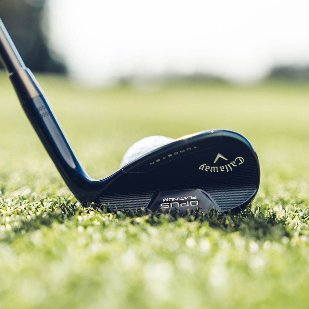 Opus Platinum Blue Wedge Stål