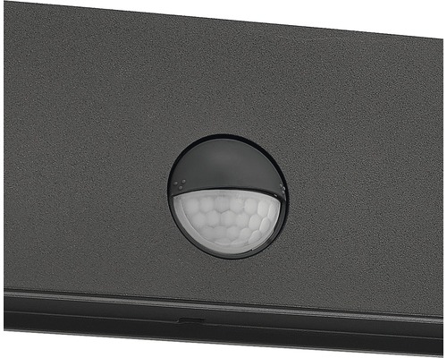 LED Sensor Buiten Wandlamp 3W 270 lm 2700 K Wasbeer antraciet