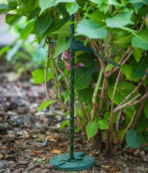 Dehner Fiberglas-Pflanzenstab