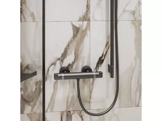Mitigeur douche thermostatique HANSGROHE Ecostat Comfort noir chromé brossé + Nettoyant Briochin