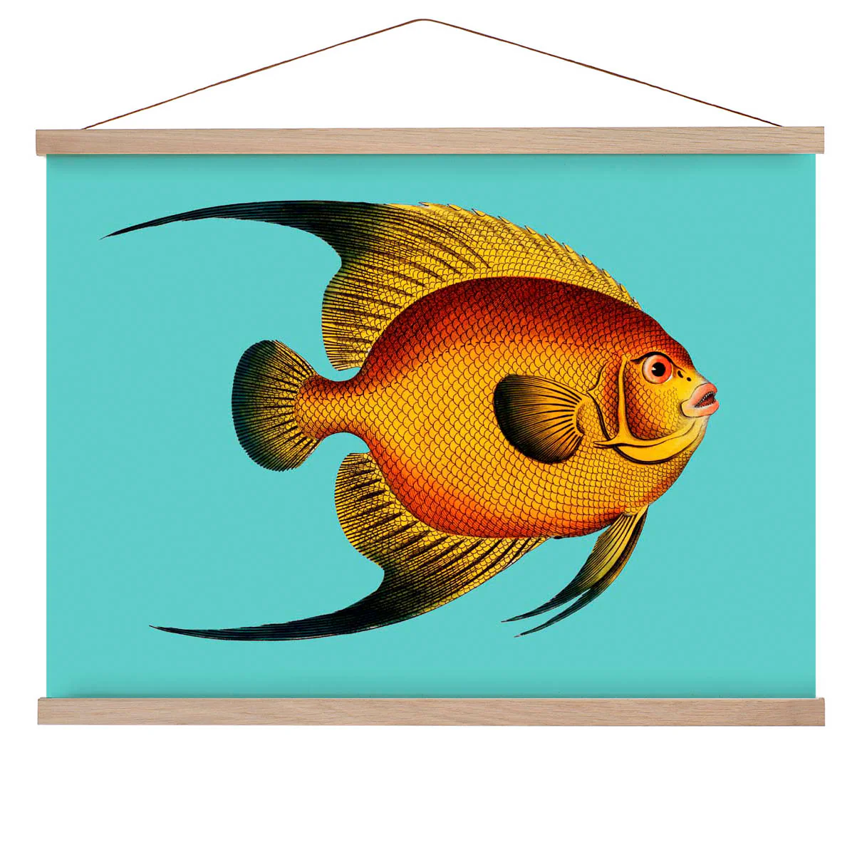Türkisfarbener Fisch