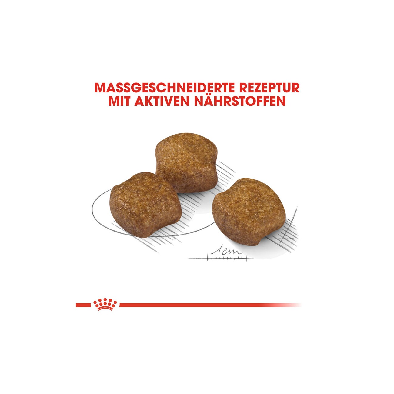 ROYAL CANIN Dental Care Medium 3 kg