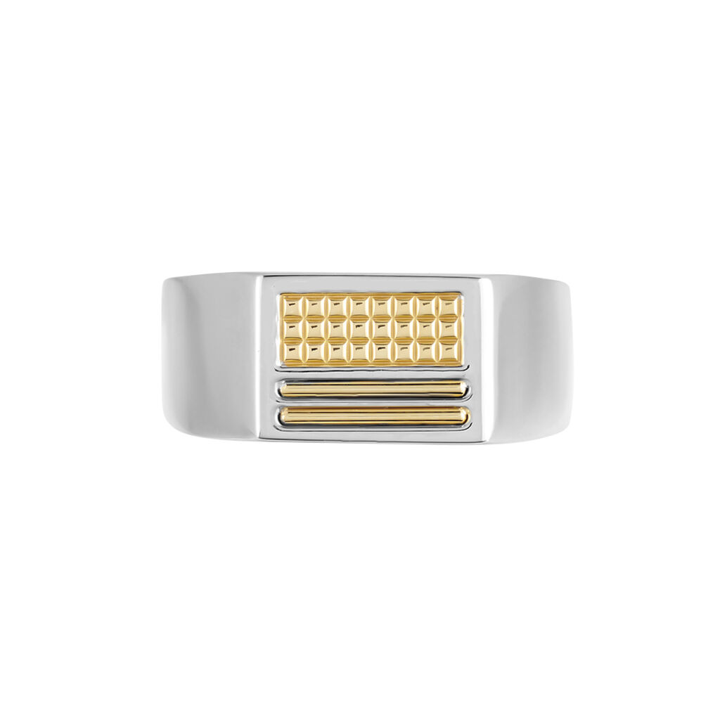 Chevalière Acier Blanc Et Plaqué Or Apollo