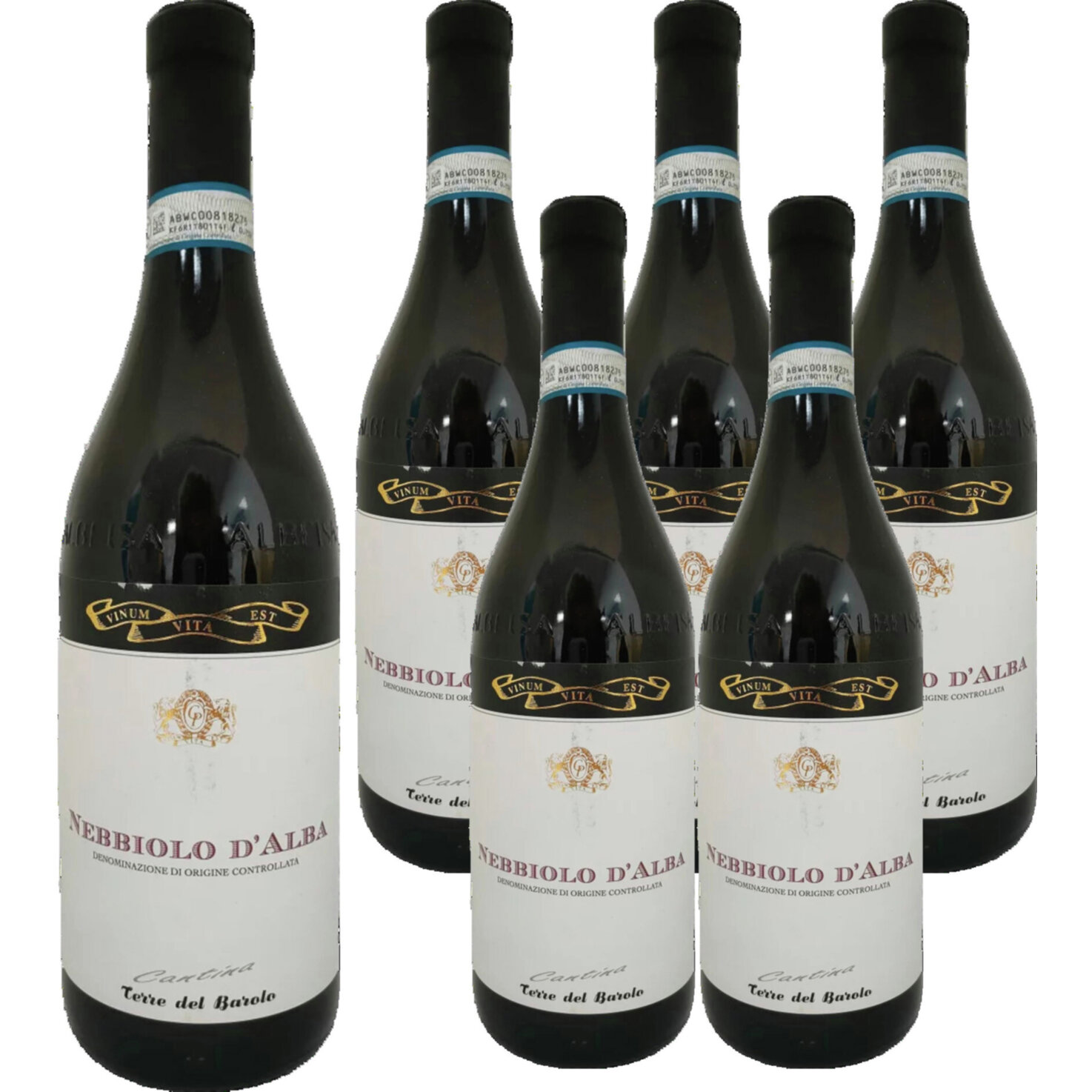 Nebbiolo d'Alba Terre del Barolo 6x 75cl -6x 75cl