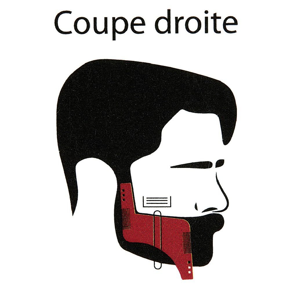 Guide et peigne 2 en 1 pour entretenir la barbe
