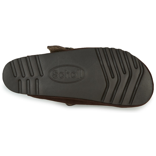 Scholl - OLIVIER Marrón