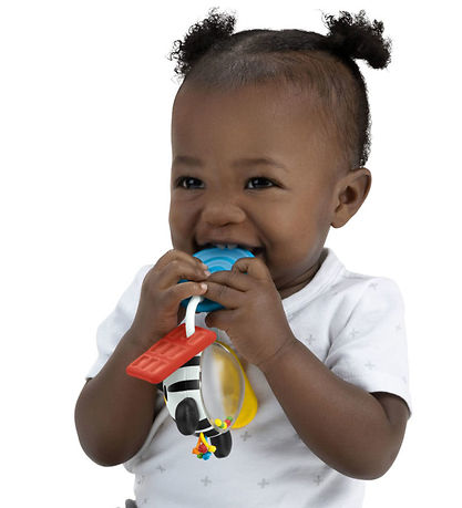 Baby Einstein Beißrassel - Shake-a-Shape-Zen