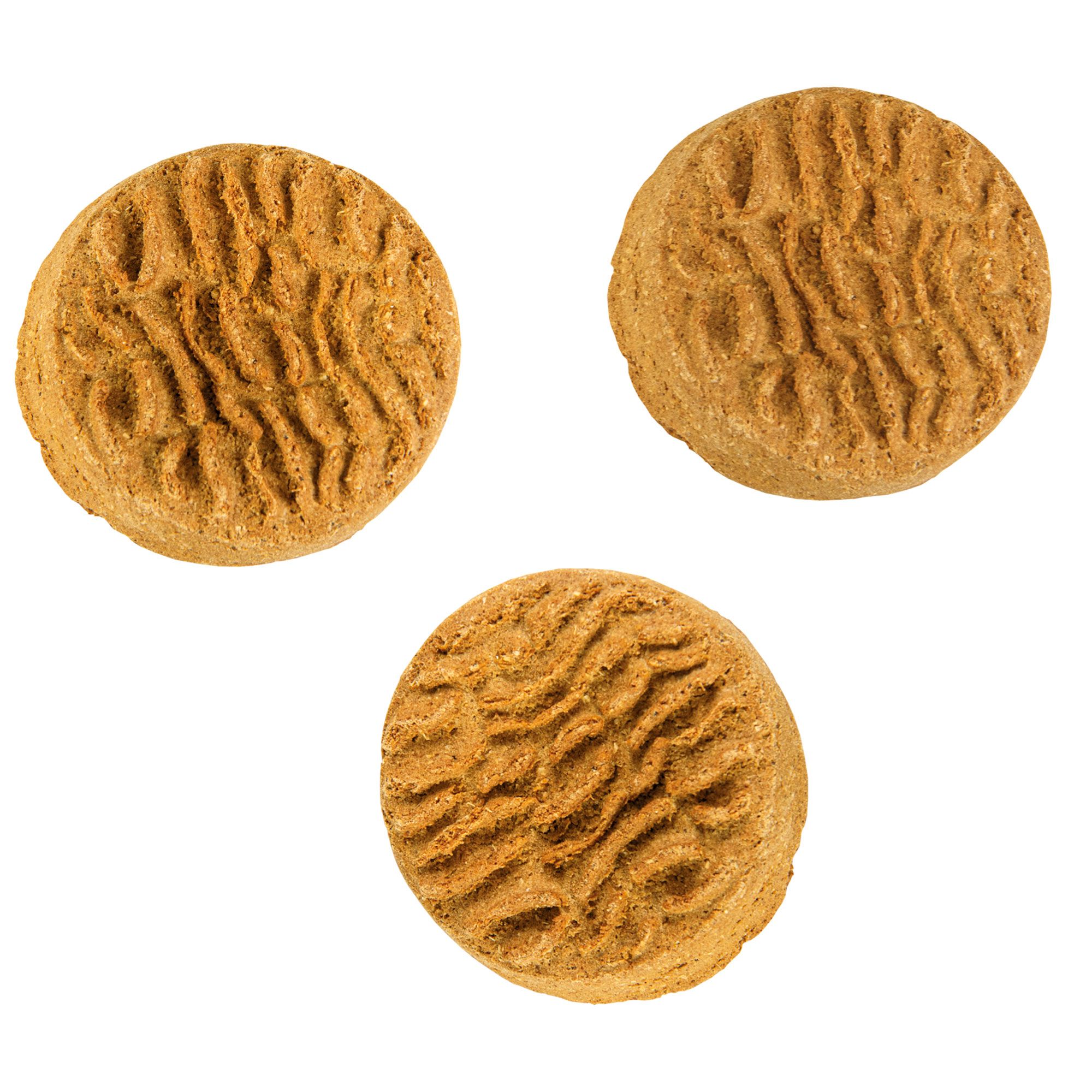 Schecker Hundekuchen - Maxi-Hundecookie
